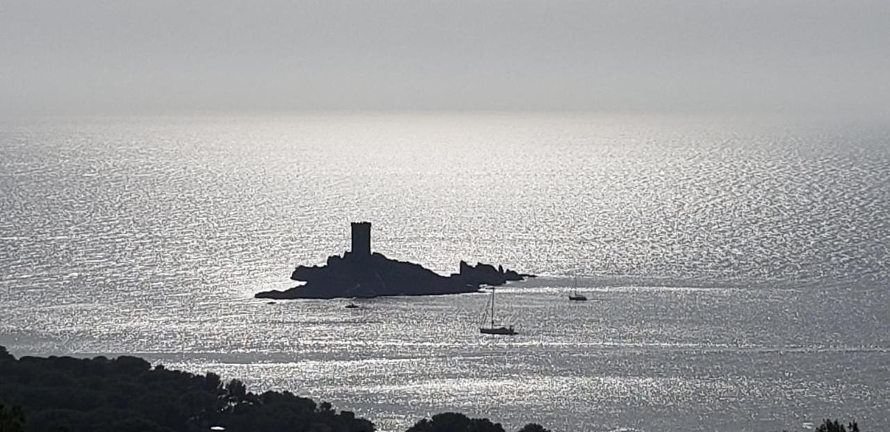 Vacances En Paradis Saint-Raphaël エクステリア 写真